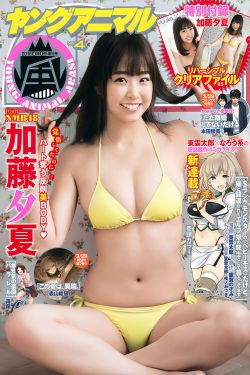 另一个部长的妻子中文版日剧如如